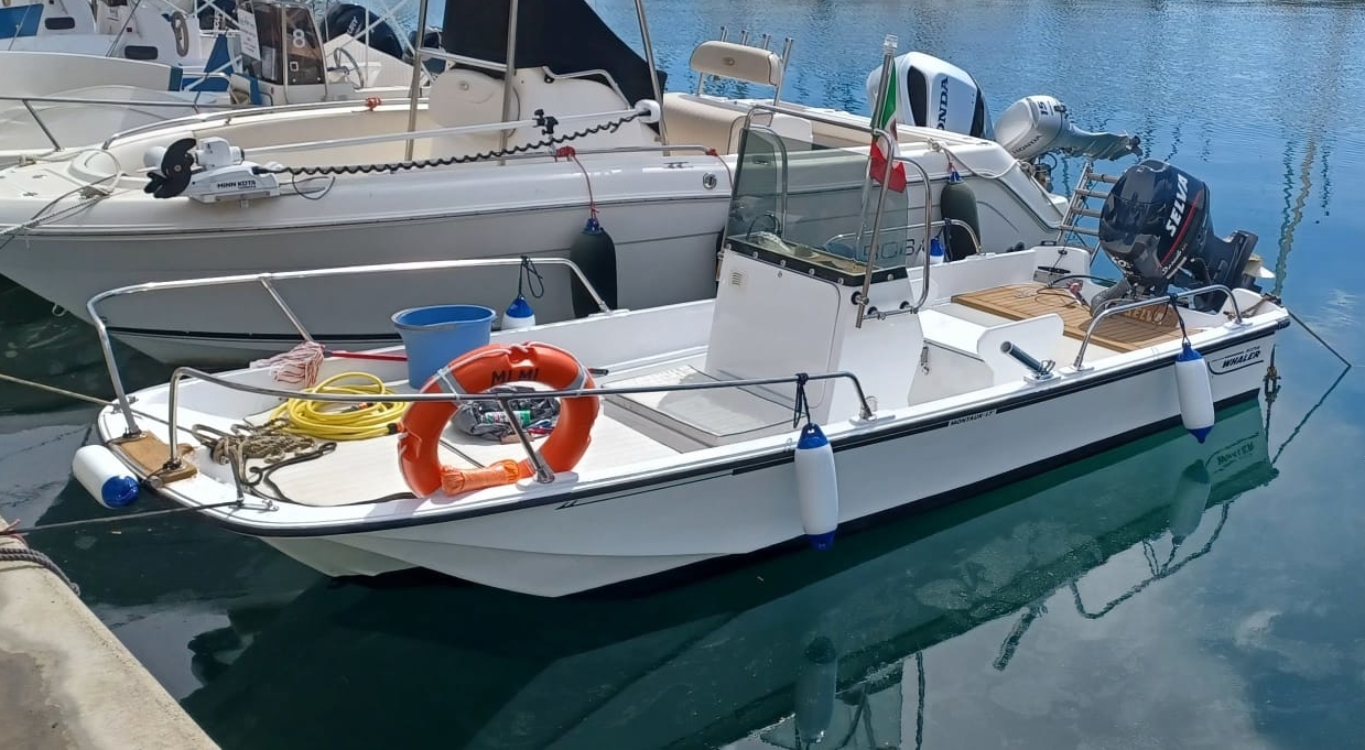 Boston Whaler 17 + Selva Dorado 40/60 hp (2009)<br><a href=dettaglio.aspx?Id=244 >VAI ALLA SCHEDA</a>